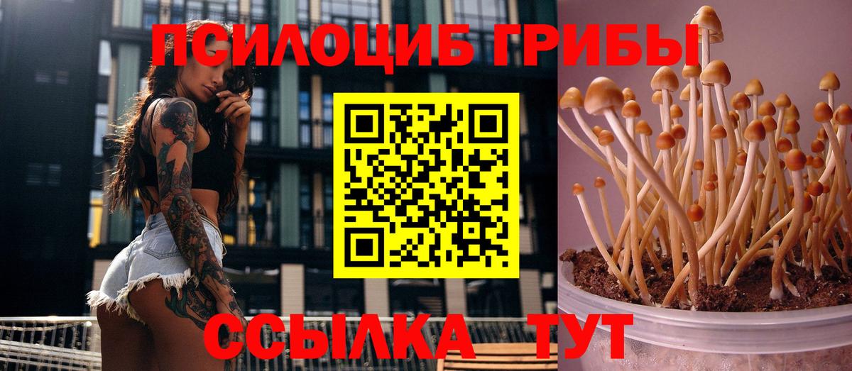 Гудермес  Галлюциногенные грибы Magic Shrooms  Вход с VPN 